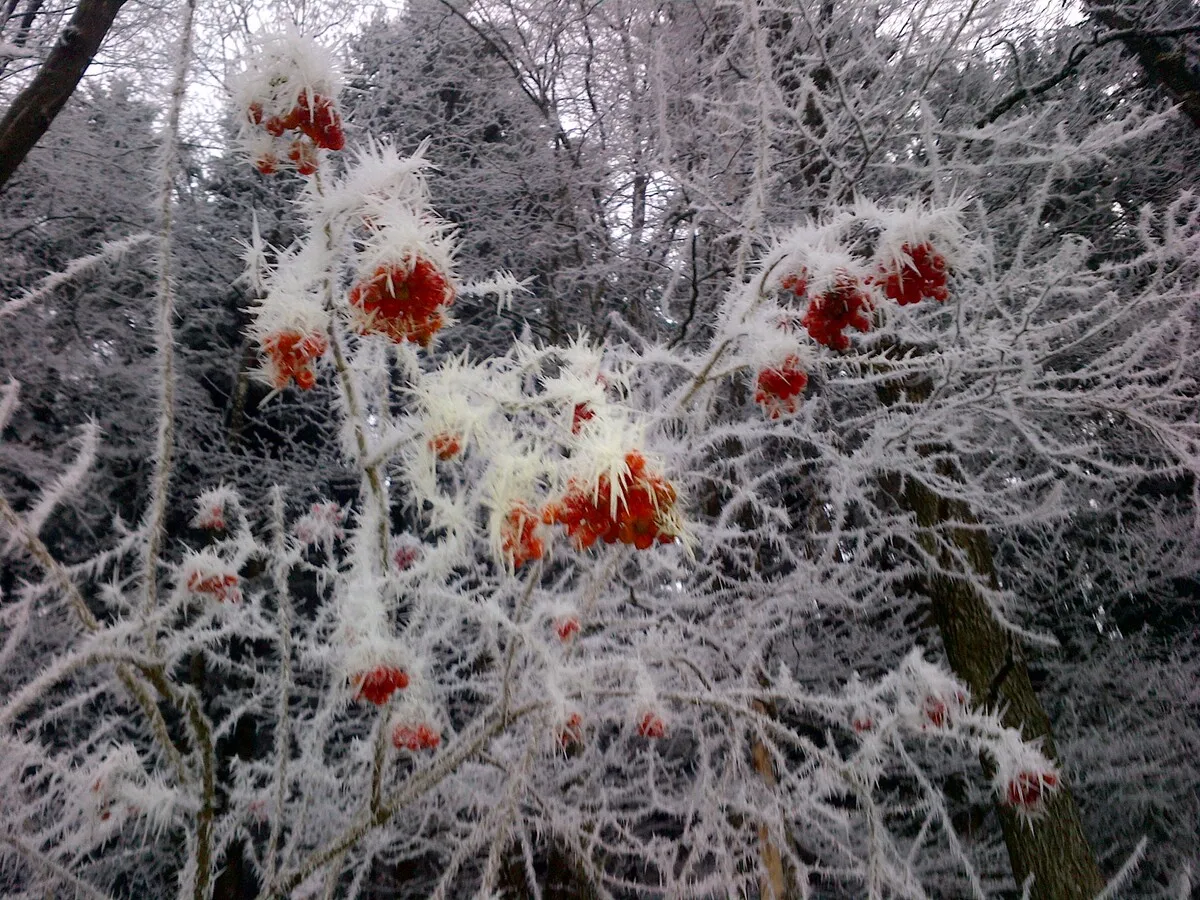 Eine wunderschöne Aussicht von Werner Gutzler