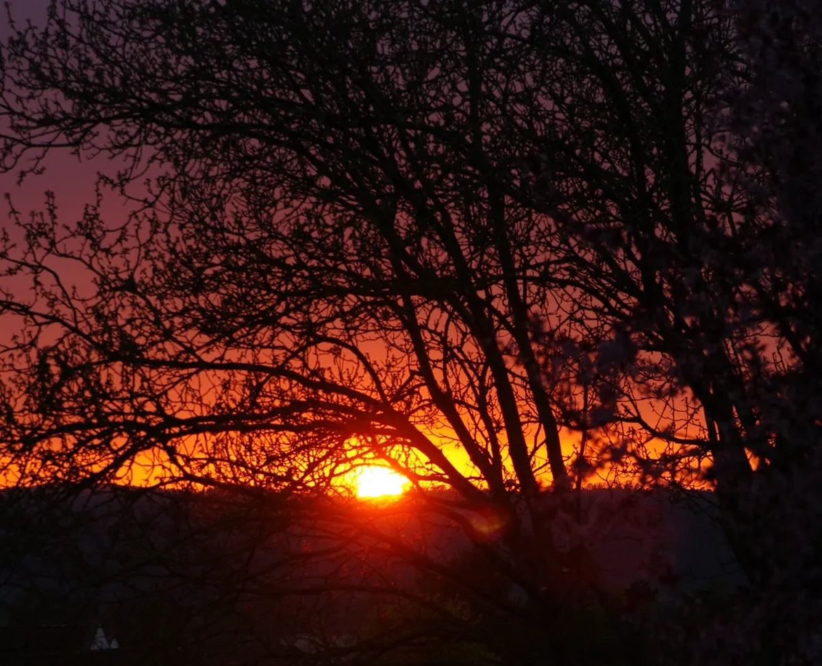 Eine wunderschöne Aussicht von Werner Gutzler