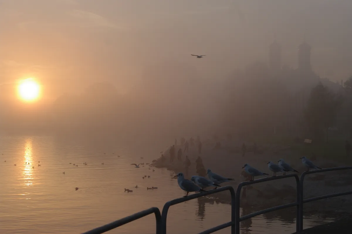 Eine wunderschöne Aussicht von Werner Gutzler