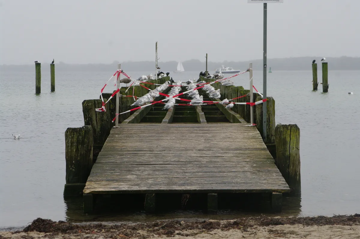 Eine wunderschöne Aussicht von Werner Gutzler