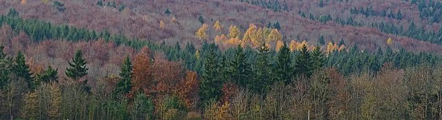Eine wunderschöne Aussicht von Werner Gutzler