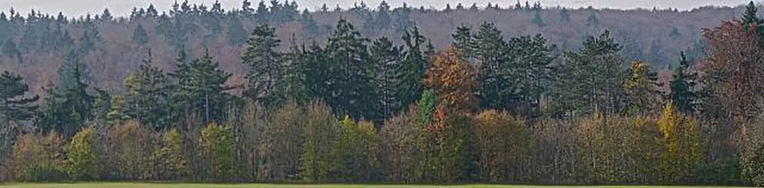 Eine wunderschöne Aussicht von Werner Gutzler