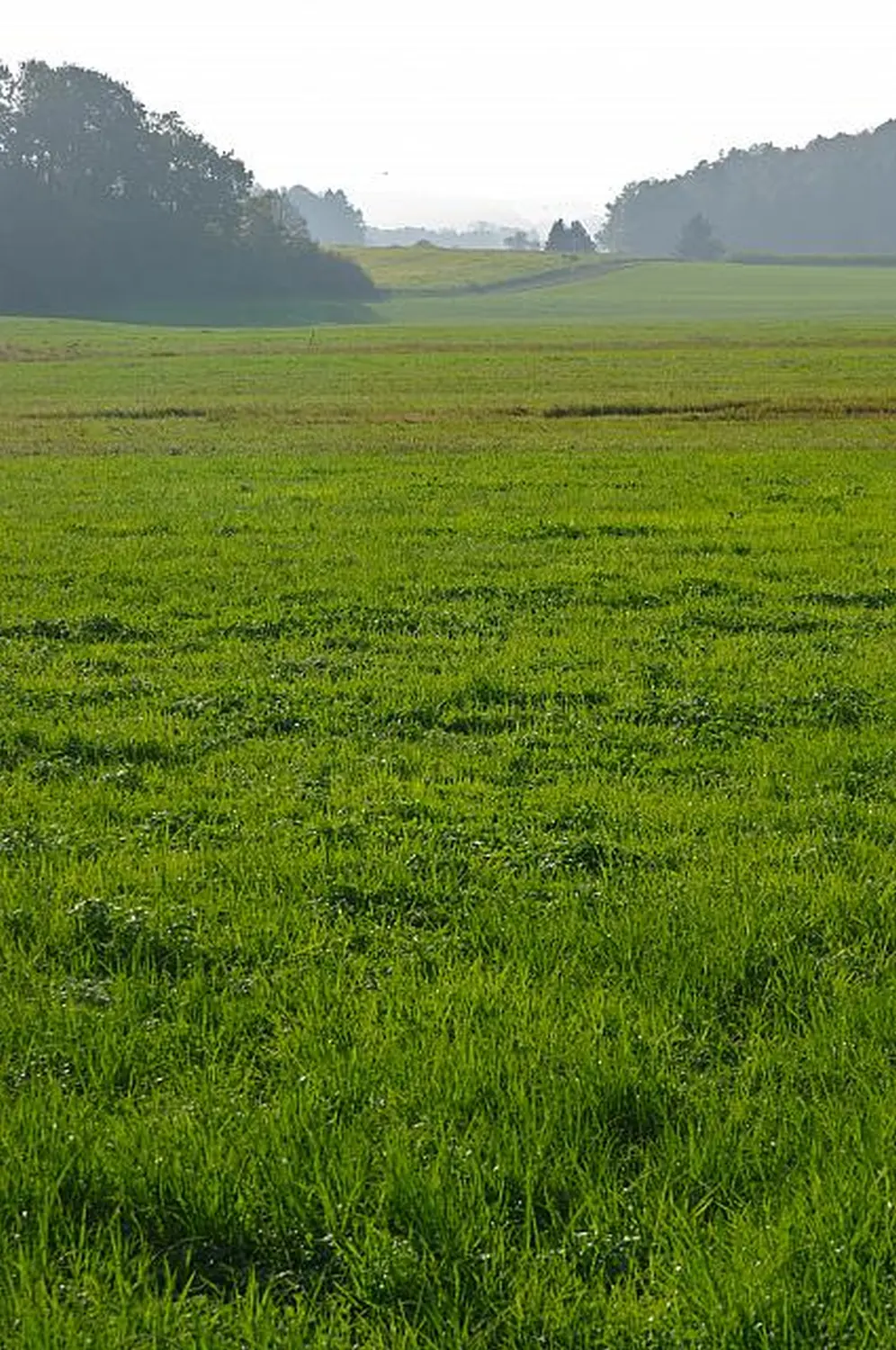 Eine wunderschöne Aussicht von Werner Gutzler