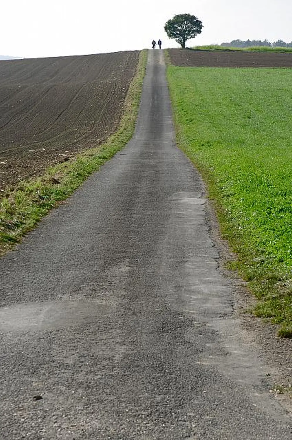 Eine wunderschöne Aussicht von Werner Gutzler