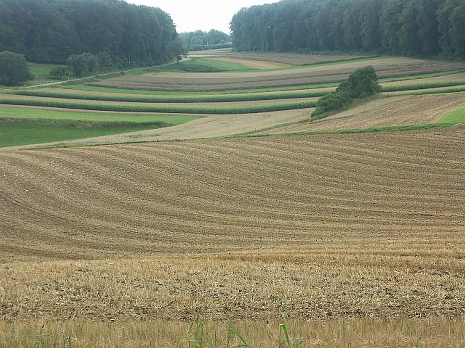 Eine wunderschöne Aussicht von Werner Gutzler