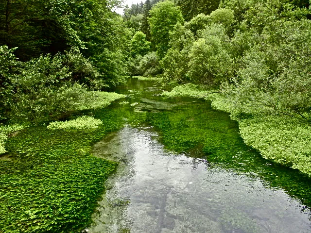 Eine wunderschöne Aussicht von Werner Gutzler