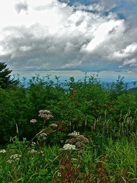 Eine wunderschöne Aussicht von Werner Gutzler